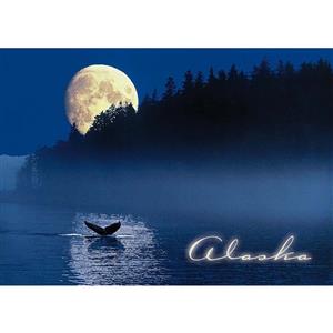 Whale Tail Moonrise Horizontal Alaska Post Card-50 Pack