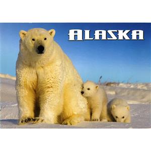 Polar Bear & Cubs ANWR Horizontal Alaska Post Card-50 Pack