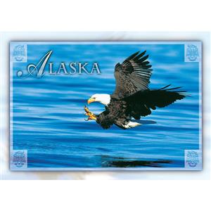 Bald Eagle in Flight Horizontal Alaska Post Card-50 Pack