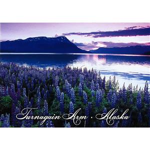 Turnagain Arm Lupine Horizontal Alaska Post Card-50 Pack