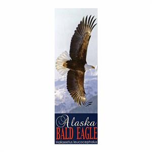Bald Eagle Laminated Bookmark