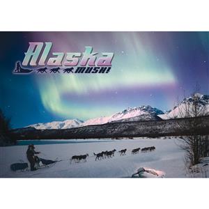 Dog Team N. Lights Horizontal Alaska Post Card-50 Pack