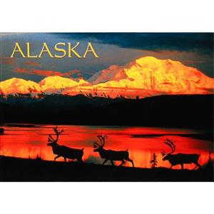 Denali Caribou Horizontal Post Card-50 Pack