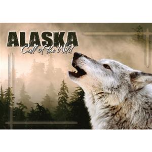 Howling Wolf Call of the Wild Horizontal Alaska Post Card-50 Pack