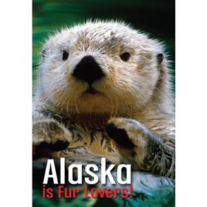 Alaska Otter Vertical Alaska Post Card-50 Pack