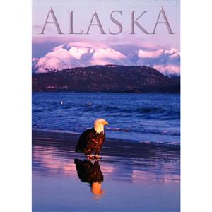 Eagle Homer Beach Vertical Alaska Post Card-50 Pack