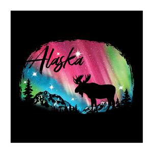 Hoodie, Ladies Sweatshirt Northern Lights Moose- Black (2X)