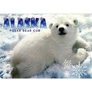 Polar Bear Cub Snowflake Horizontal Alaska Post Card-50 Pack