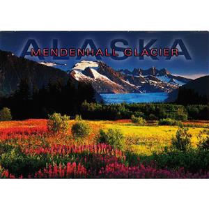Mendenhall Glacier Horizontal Post Card-50 Pack