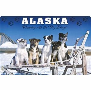 PLACEMAT, HUSKY PUPS SLED