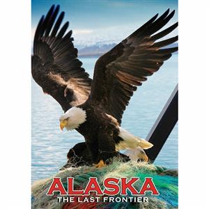 Kodiak Eagle Taking Flight Vertical Post Card-50 Pack