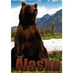 Sitting Brown Bear Vertical Alaska Post Card-50 Pack