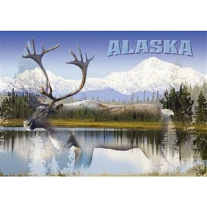 Photo Caribou Horizontal Alaska Post Card-50 Pack