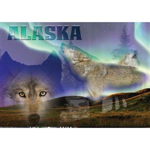 Photo NL Wolf Horizontal Alaska Post Card-50 Pack