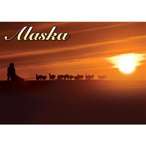Heading for the Finish Horizontal Alaska Post Card-50 Pack