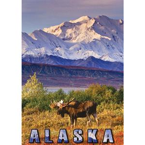 Moose Denali Vertical Alaska Post Card-50 Pack