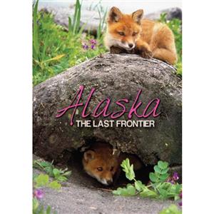 Red Foxes Last Frontier Vertical Alaska Post Card-50 Pack