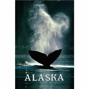 Humpback Whale Tail Vertical Alaska Post Card-50 Pack