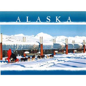 Dog Team Pipeline Horizontal Alaska Post Card-50 Pack