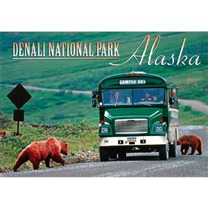 Denali Grizzly Bears Horizontal Post Card-50 Pack