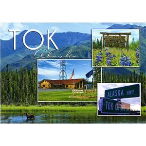 Tok Composite Horizontal Post Card-50 Pack