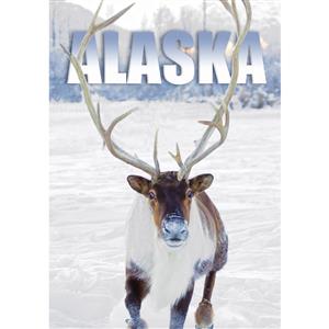 Caribou Running Vertical Alaska Post Card-50 Pack
