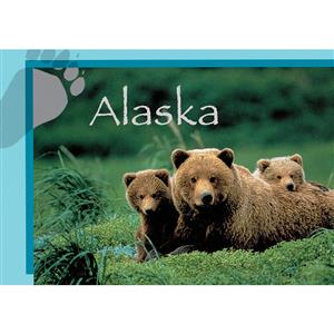Fgrizzly Bear w/Cubs Horizontal Alaska Post Card-50 Pack
