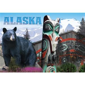 Photo Black Bear Horizontal Alaska Post Card-50 Pack