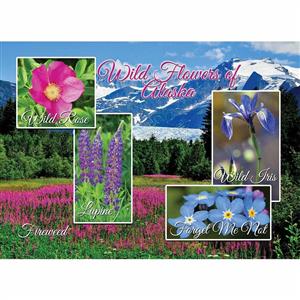 Flowers of Alaska Horizontal Alaska Post Card