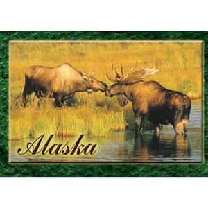 Kissing Moose Horizontal Alaska Post Card-50 Pack