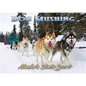 Dog Mushing-State Sport Horizontal Alaska Post Card-50 Pack