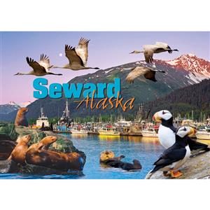 Seward Composite Horizontal Post Card-50 Pack