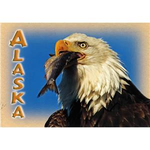 Eagle w/Fish Horizontal Alaska Post Card-50 Pack
