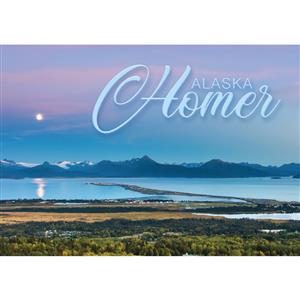 Homer Horizontal Post Card-50 Pack