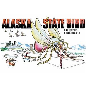 Alaska State Bird Horizontal Alaska Post Card-50 Pack