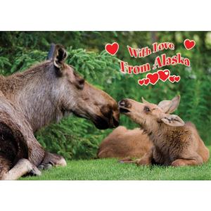 With Love from Alaska Horizontal Alaska Post Card-50 Pack