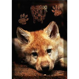 Alaskan Wolf Pup Vertical Alaska Post Card-50 Pack