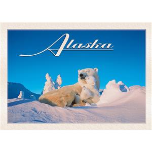 Polar Bear & Cubs Horizontal Alaska Post Card-50 Pack