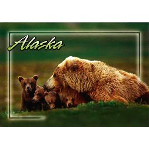 Grizzly w/Young Cubs Horizontal Alaska Post Card-50 Pack