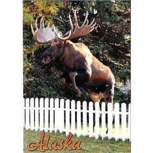 Moose Jumping Fence Vertical Alaska Post Card-50 Pack